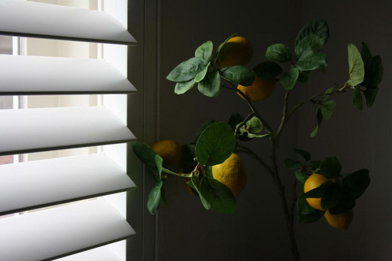 Zandvoort Studio Exteriör bild